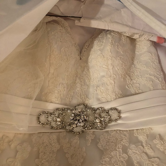 Private Collections Wedding Dress - Picture 4 of 6